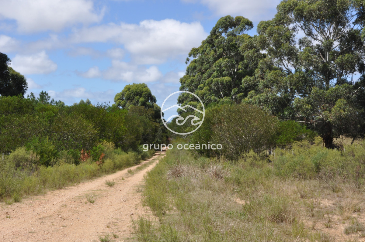Campo Ref.36 - Campo en Camino las Garzas y Ruta 9  360 Ha ideal para fraccionamiento de chacras
