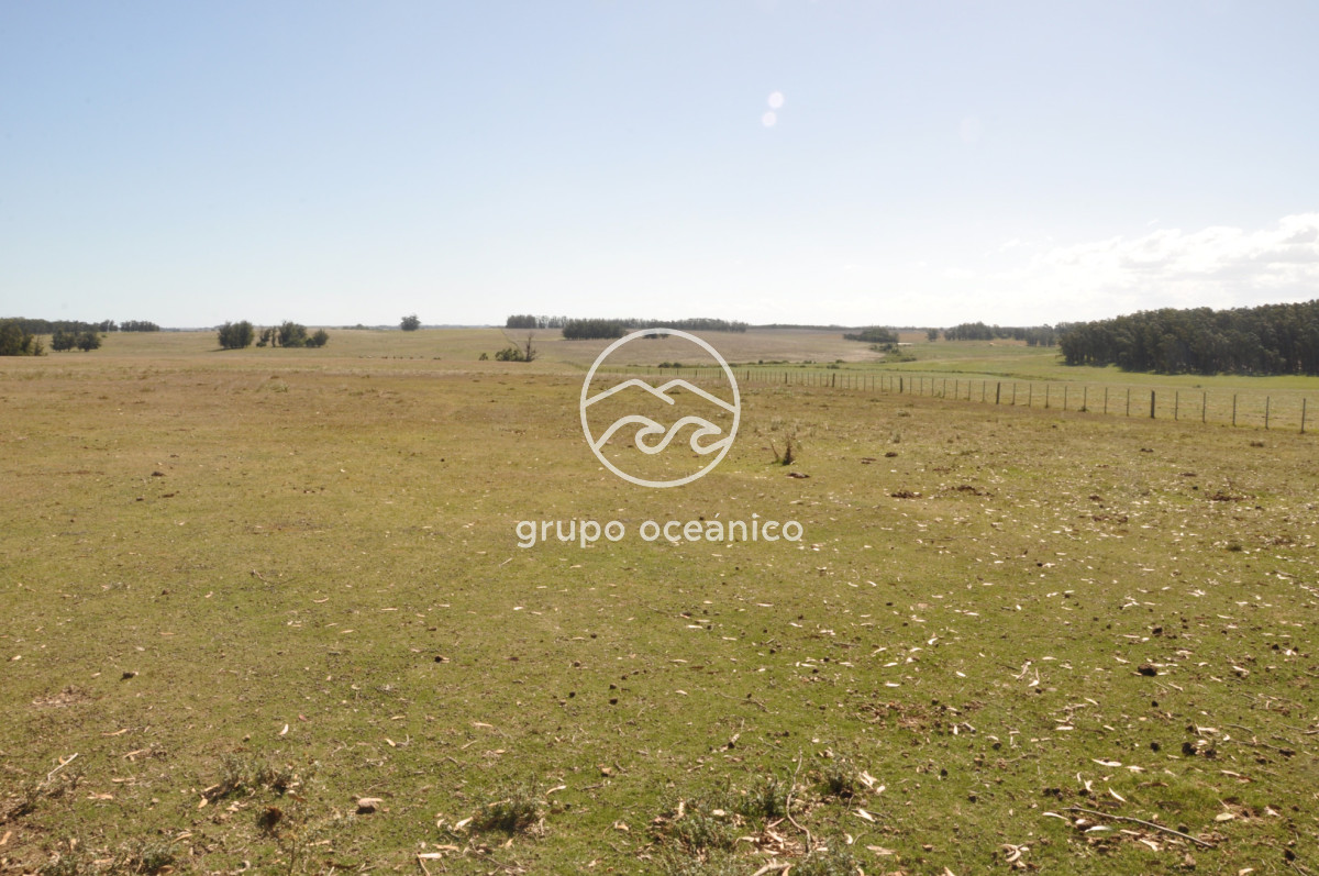 Campo Ref.44 - Campo con instalaciones y casas en Ruta 9 y camino Anastasio