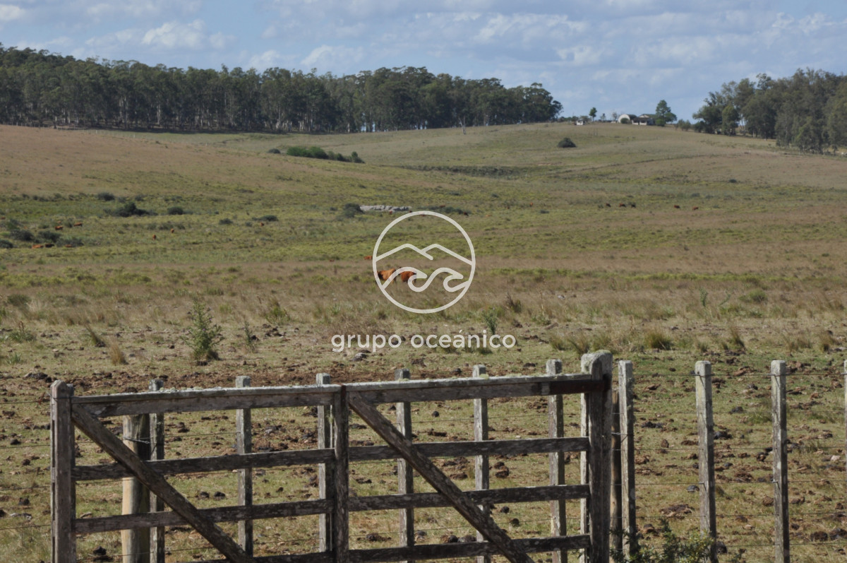 Campo Ref.44 - Campo con instalaciones y casas en Ruta 9 y camino Anastasio