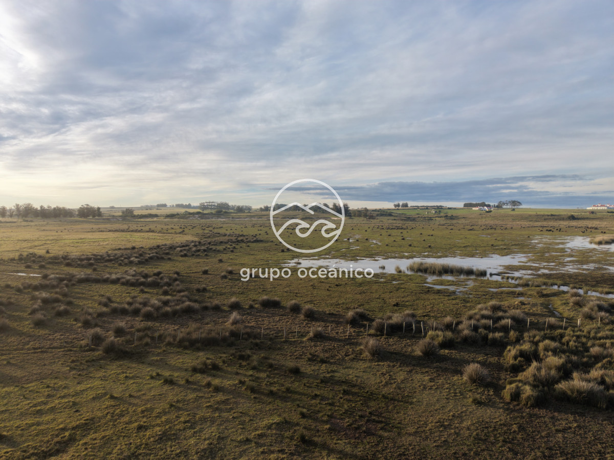 Campo Ref.88 - Campo 91 há sobre Laguna de José Ignacio