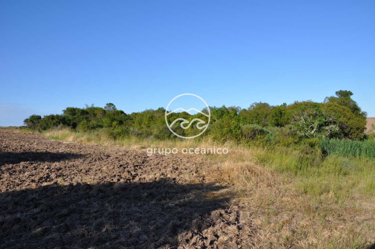 Campo Ref.11 - Ruta 9 y Arroyo Garzón 36.9 Hectáreas con costa 