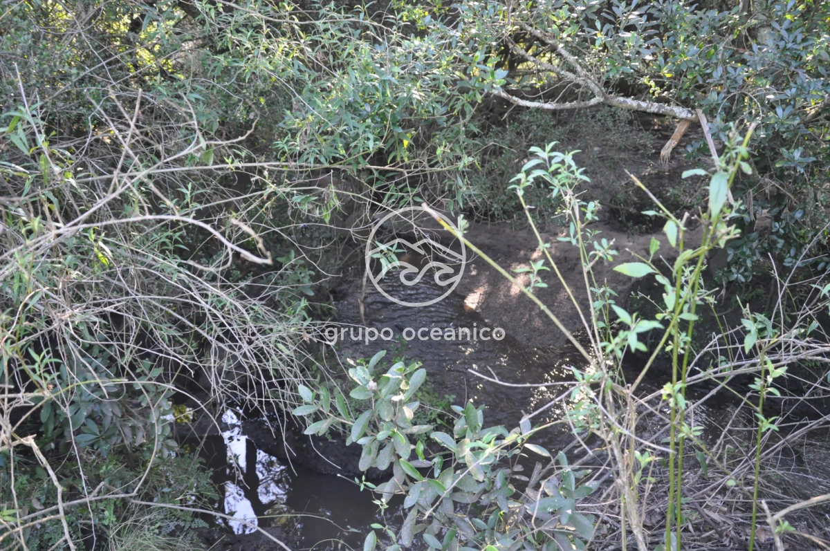 Campo Ref.2 - Campo de 50 hectáreas en Rincón de José Ignacio