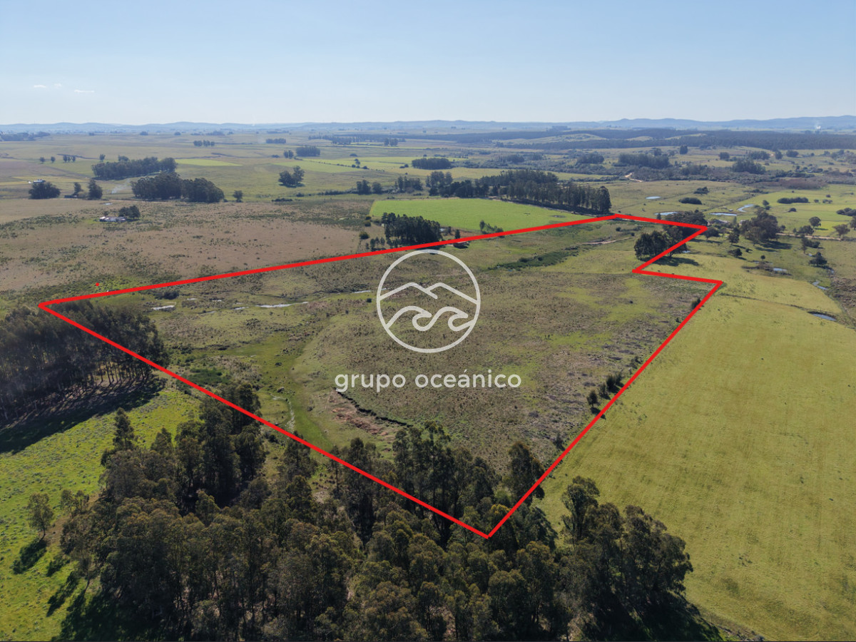 Campo Ref.81 - Campo Paso del Tigre con Cabaña