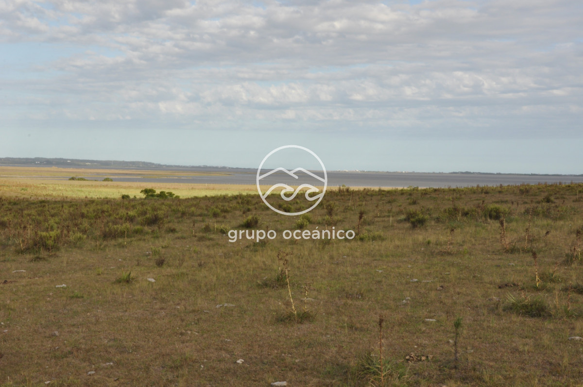 Campo Ref.41 - Campo a orillas de la Laguna de José Ignacio