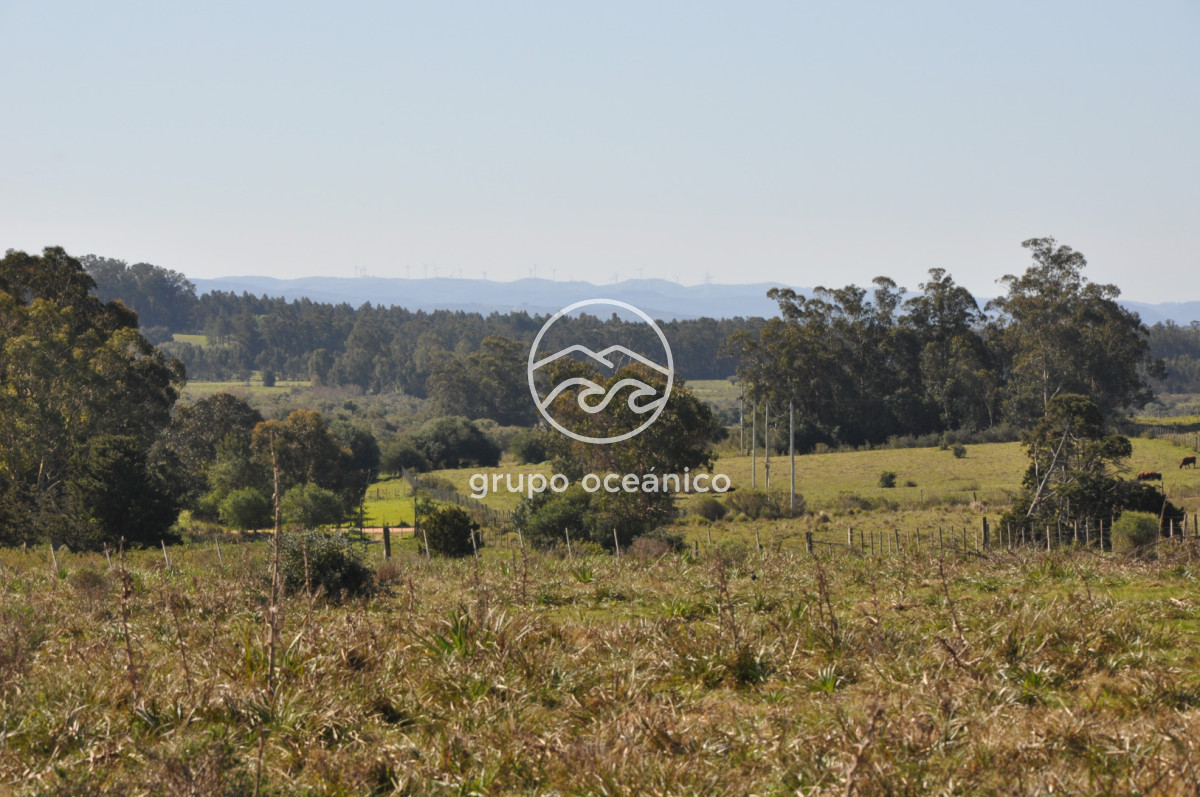 Campo Ref.81 - Campo Paso del Tigre con Cabaña