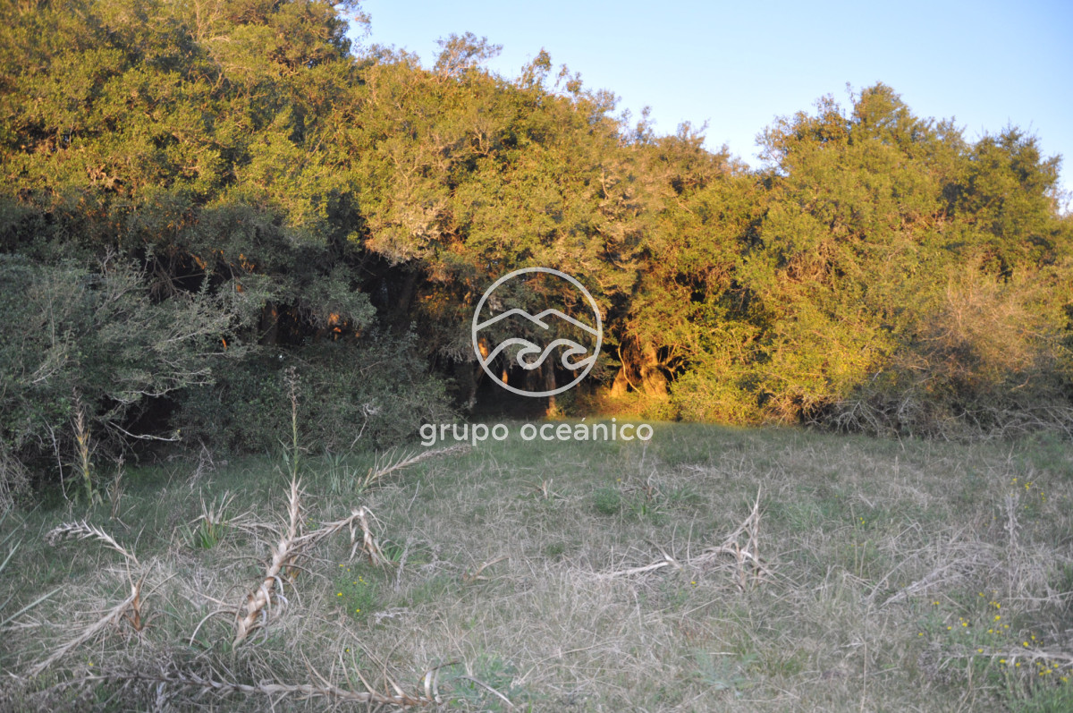 Campo Ref.4 - P 20673 Ruta 9 José Ignacio