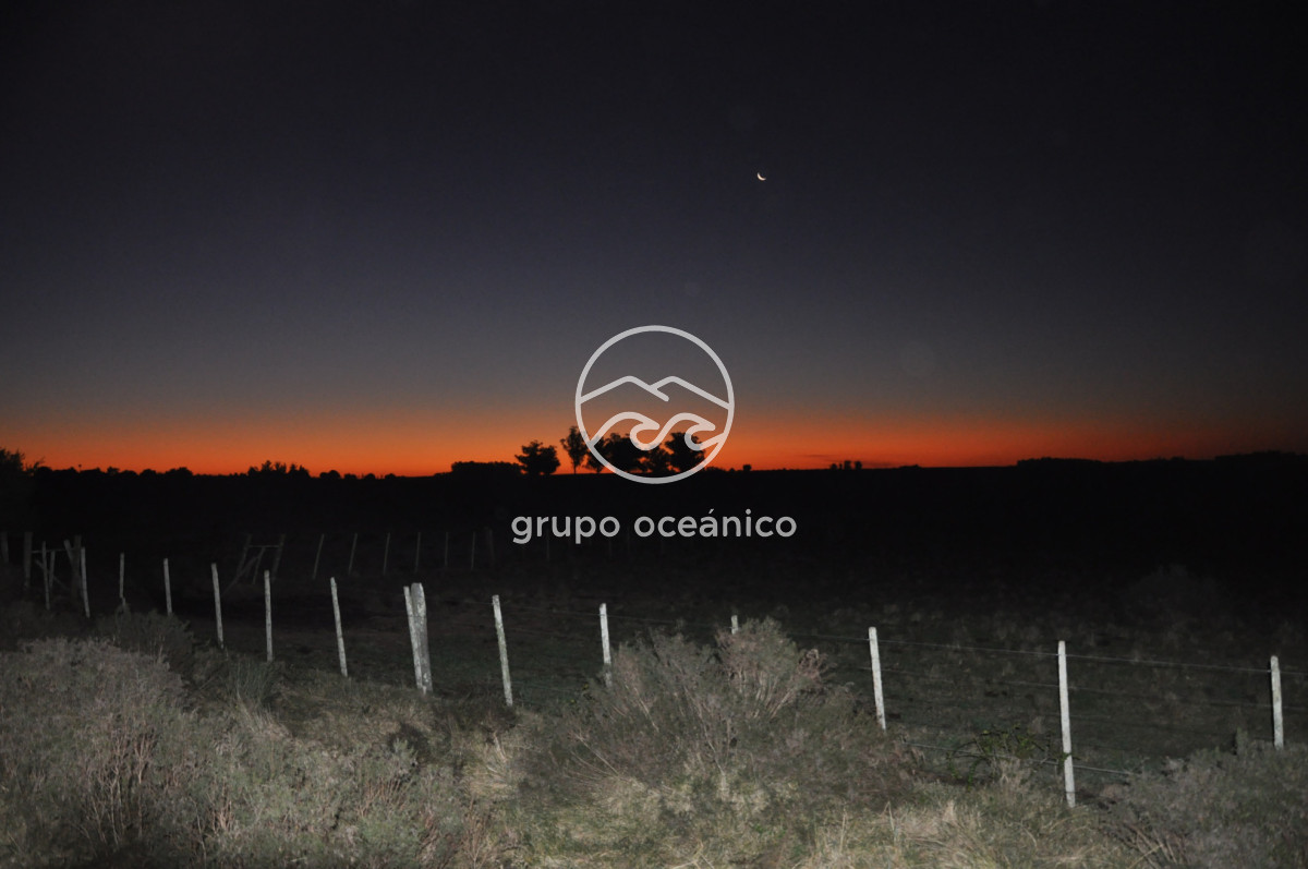 Campo Ref.4 - P 20673 Ruta 9 José Ignacio