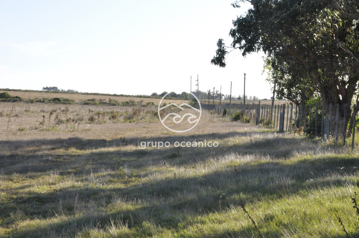 Campo Ref.49 - Campo 9,5 Há en paso de Tigre y Ruta 9