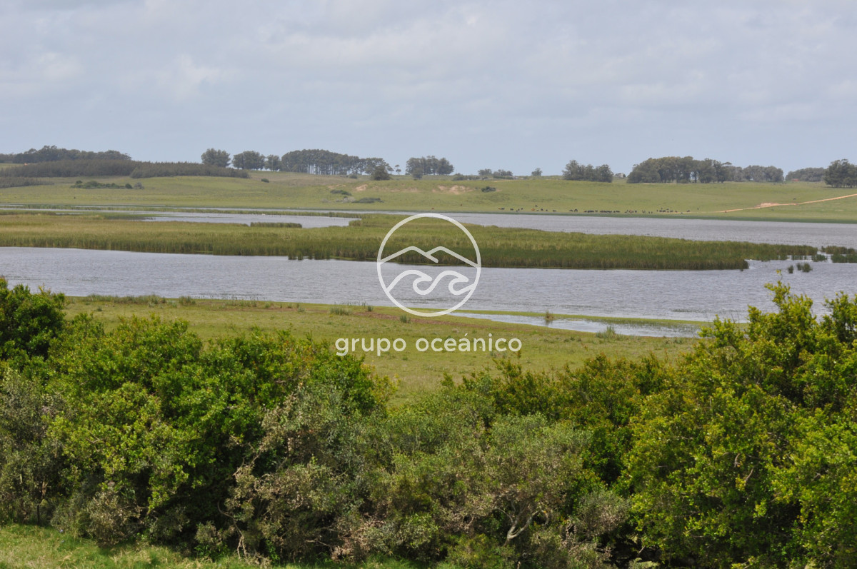Campo Ref.89 - Campo 280 há sobre Laguna Garzón Área Protegida