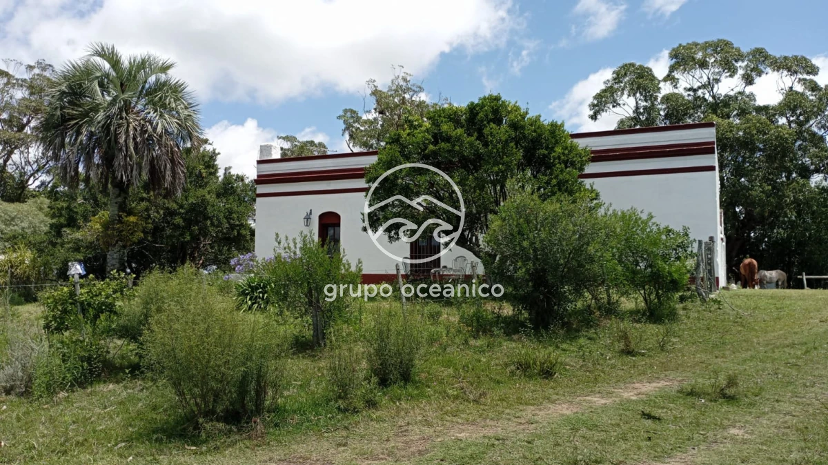 Campo Ref.8 - Campo 77 hectáreas en Ruta 39