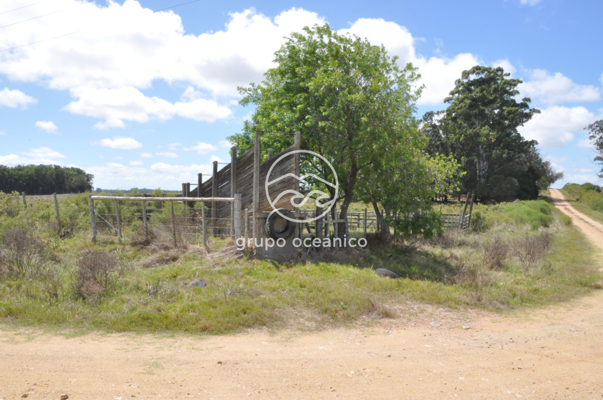 Campo Ref.36 - Campo en Camino las Garzas y Ruta 9  360 Ha ideal para fraccionamiento de chacras