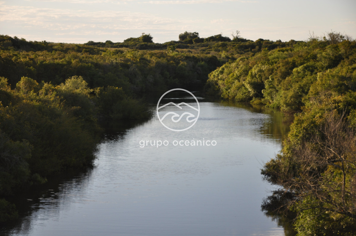 Campo Ref.11 - Ruta 9 y Arroyo Garzón 36.9 Hectáreas con costa 