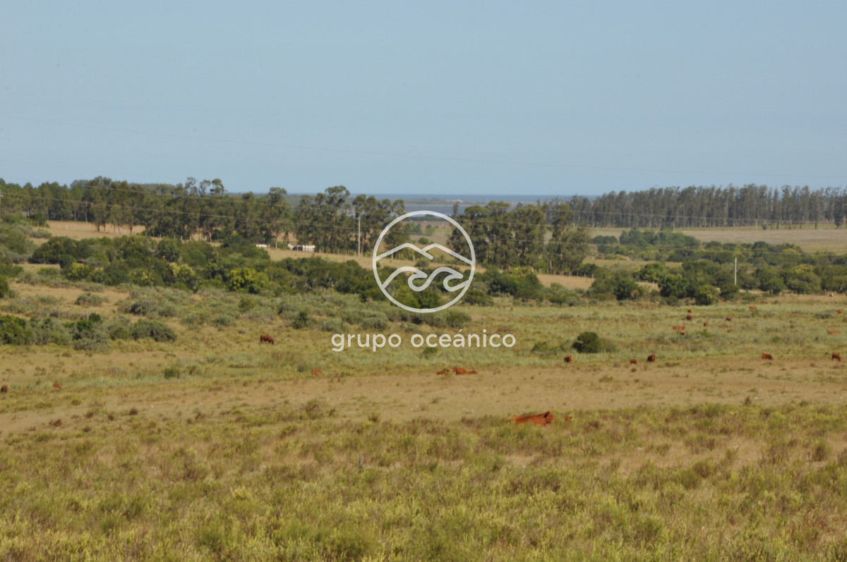 Campo Ref.44 - Campo con instalaciones y casas en Ruta 9 y camino Anastasio