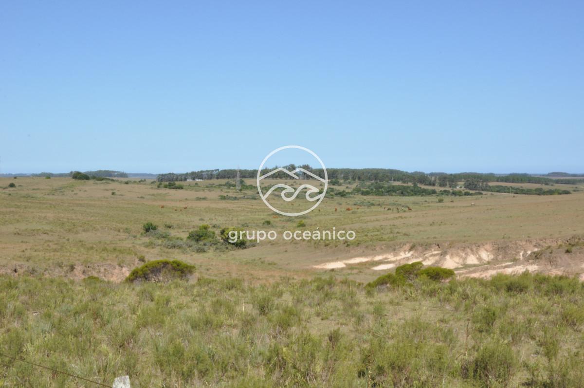Campo Ref.44 - Campo con instalaciones y casas en Ruta 9 y camino Anastasio