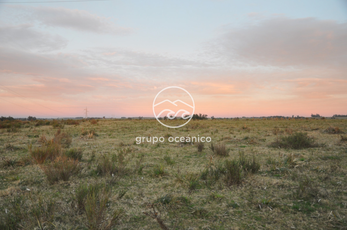 Campo Ref.3 - Campo de 39 hectáreas en Rincón de José Ignacio