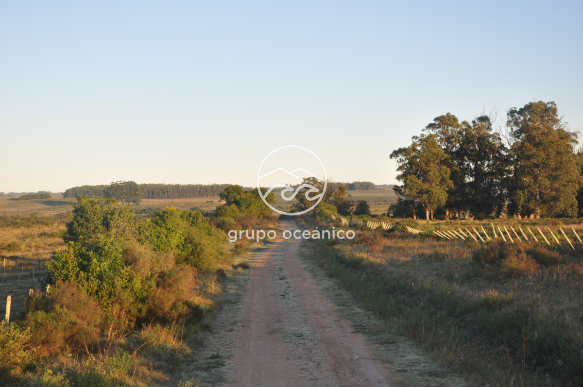 Campo Ref.88 - Campo 91 há sobre Laguna de José Ignacio