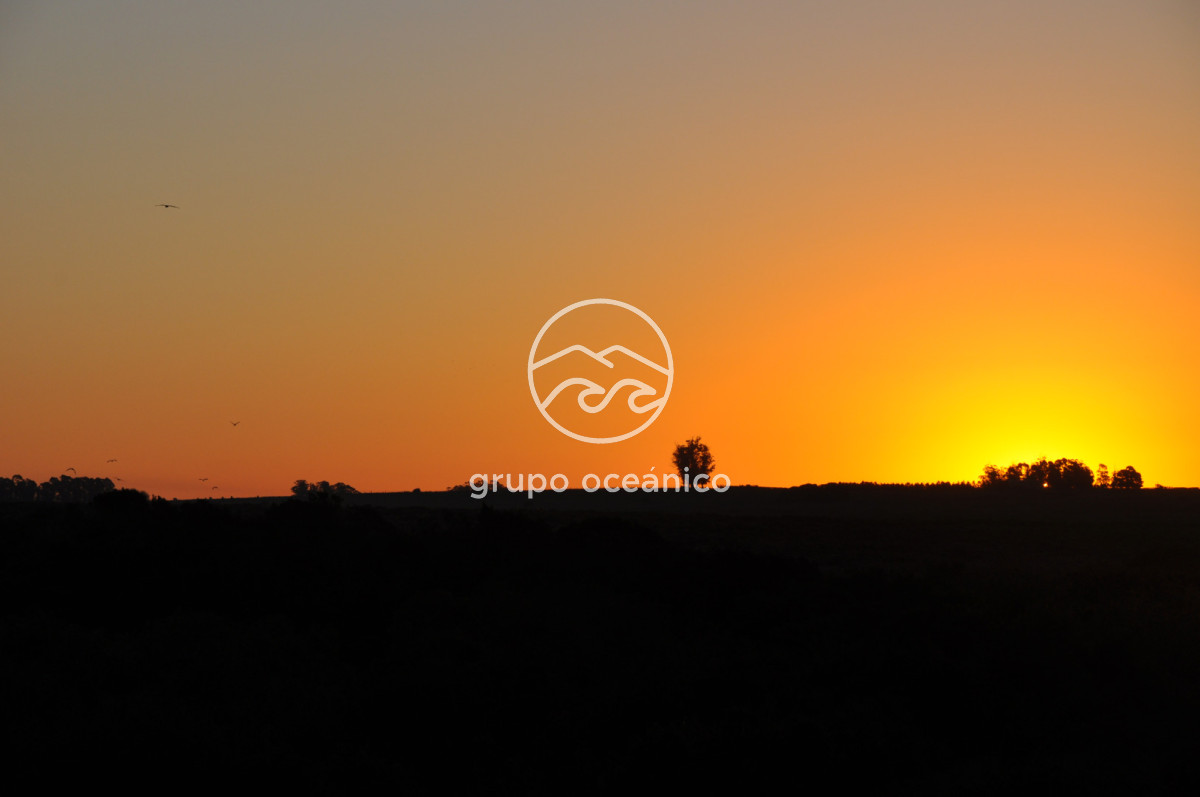 Campo Ref.4 - P 20673 Ruta 9 José Ignacio