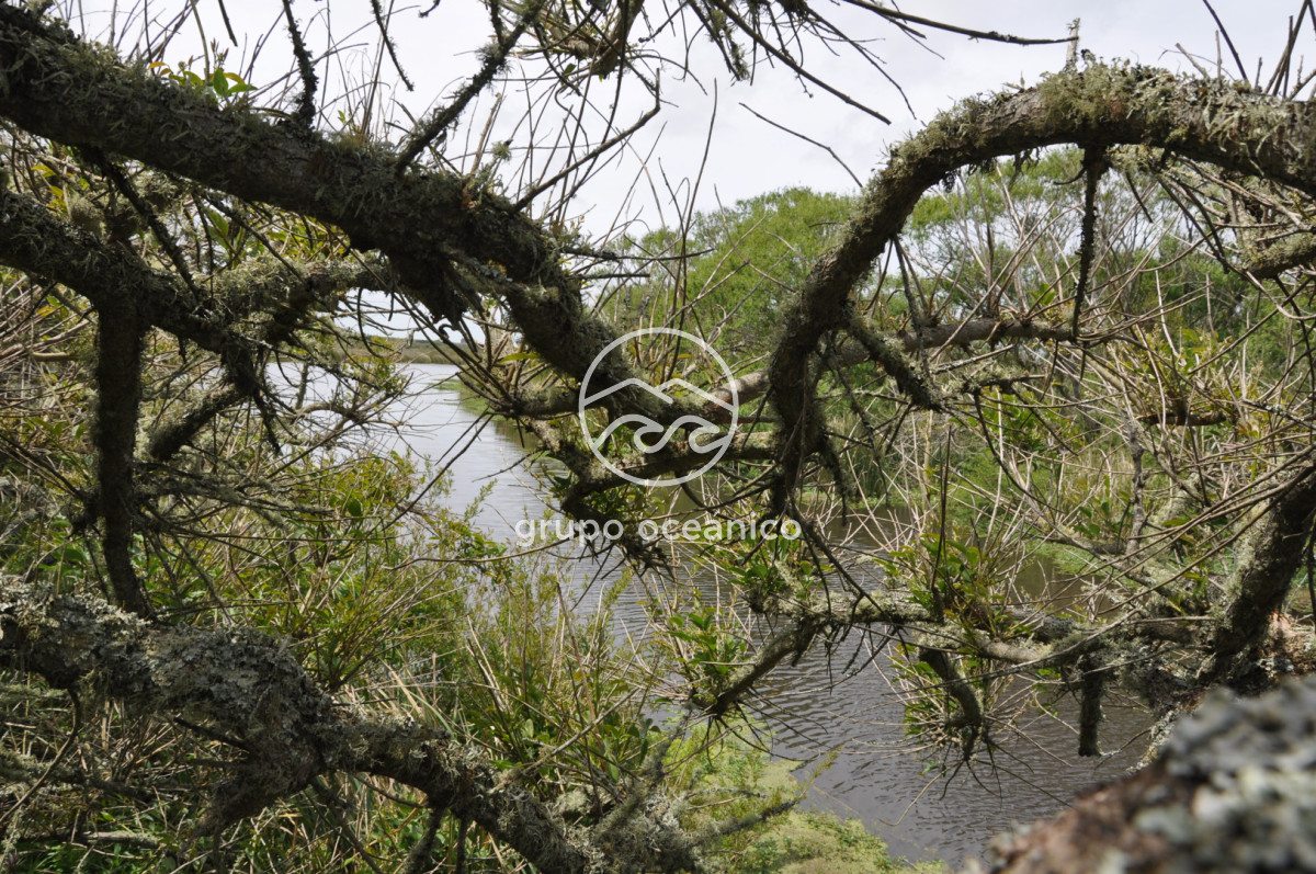 Campo Ref.89 - Campo 280 há sobre Laguna Garzón Área Protegida