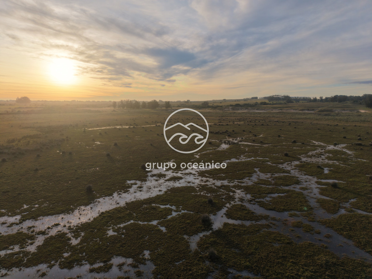 Campo Ref.88 - Campo 91 há sobre Laguna de José Ignacio