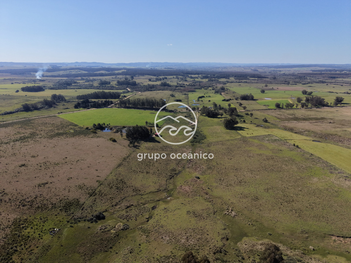 Campo Ref.81 - Campo Paso del Tigre con Cabaña