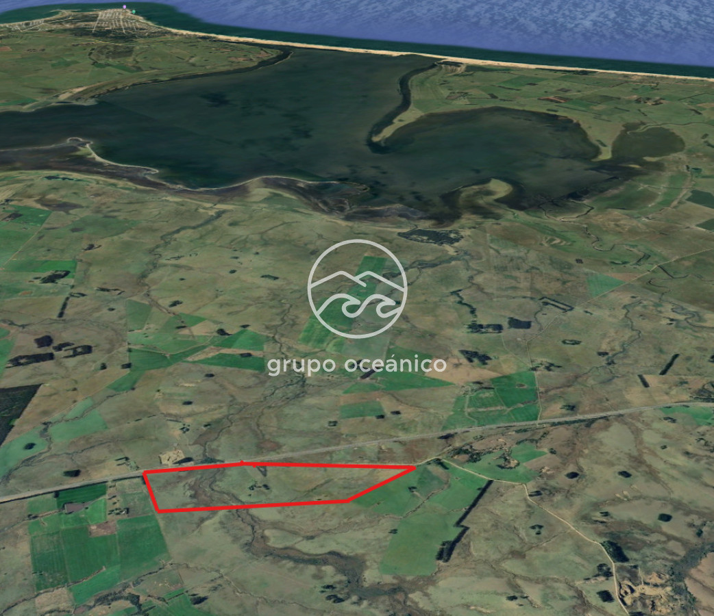 Campo Ref.53 - Campo Rocha Ruta 9 Km 196