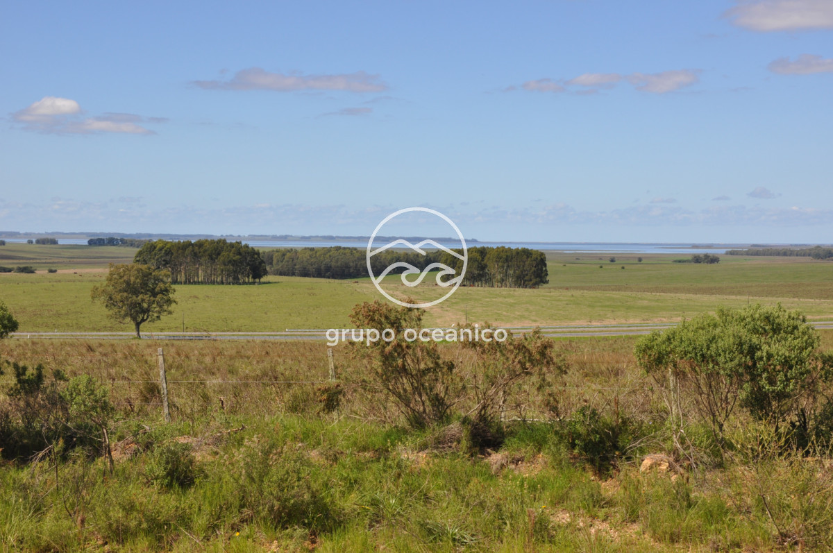 Campo Ref.53 - Campo Rocha Ruta 9 Km 196