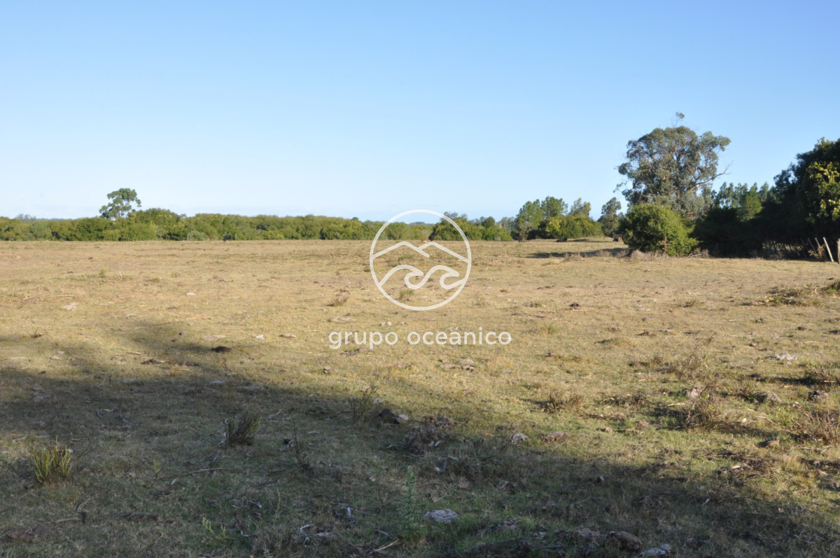 Campo Ref.49 - Campo 9,5 Há en paso de Tigre y Ruta 9