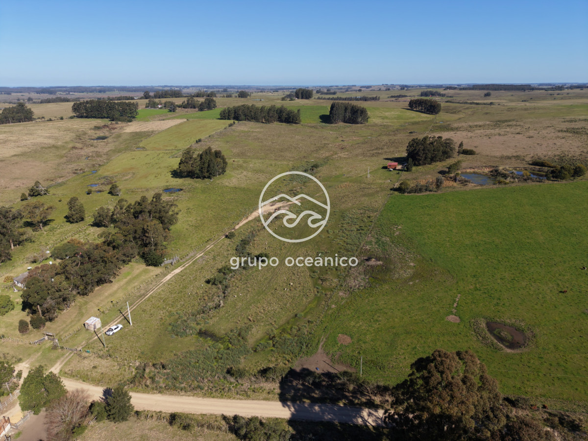 Campo Ref.81 - Campo Paso del Tigre con Cabaña