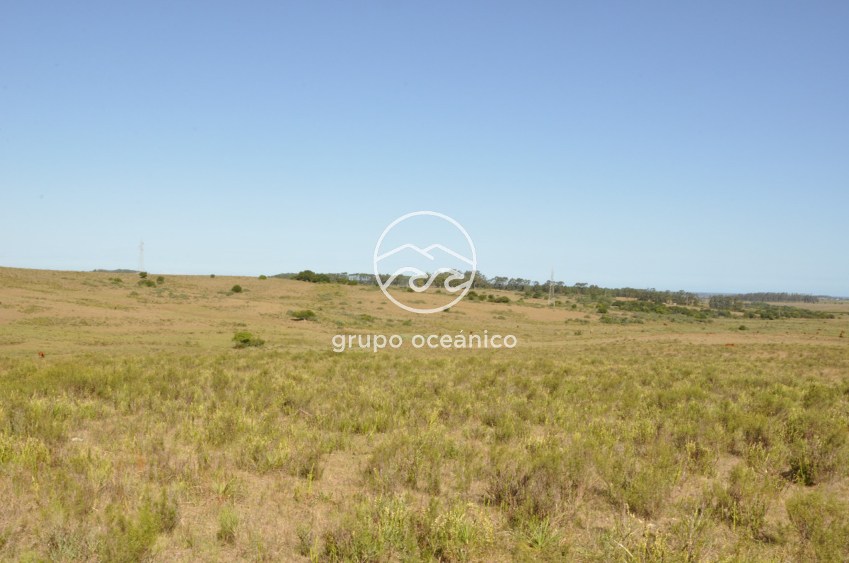 Campo Ref.44 - Campo con instalaciones y casas en Ruta 9 y camino Anastasio