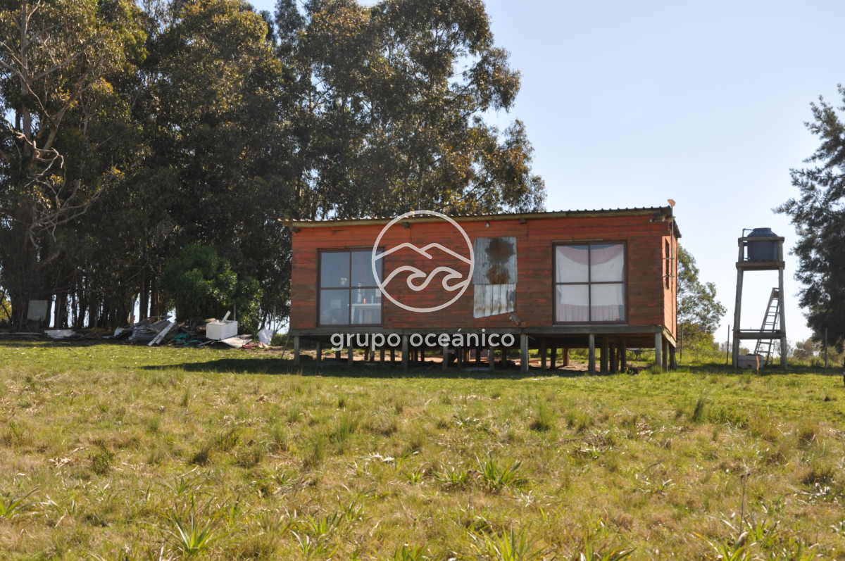 Campo Ref.81 - Campo Paso del Tigre con Cabaña