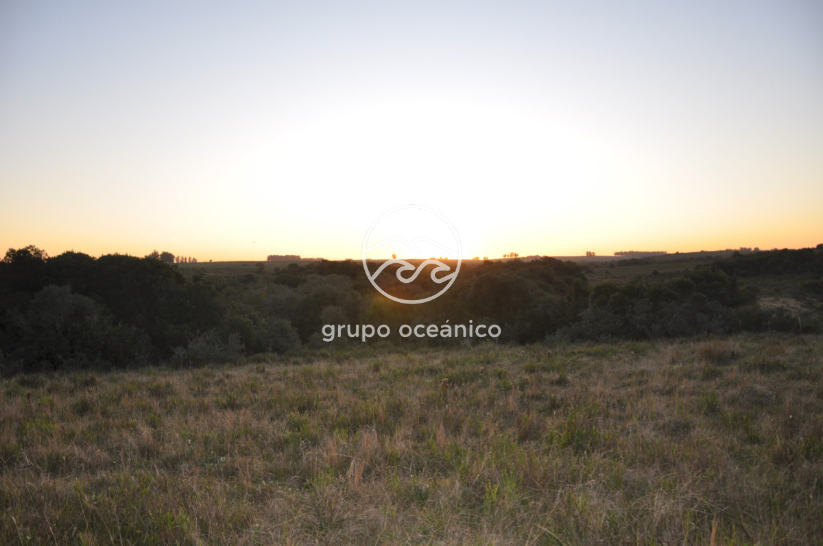 Campo Ref.4 - P 20673 Ruta 9 José Ignacio