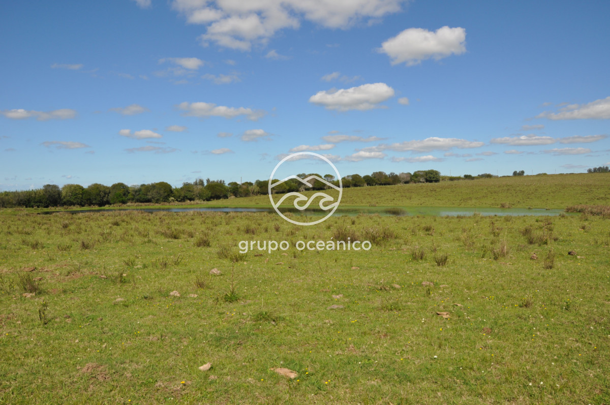 Campo Ref.53 - Campo Rocha Ruta 9 Km 196