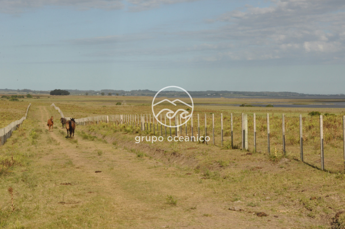 Campo Ref.41 - Campo a orillas de la Laguna de José Ignacio
