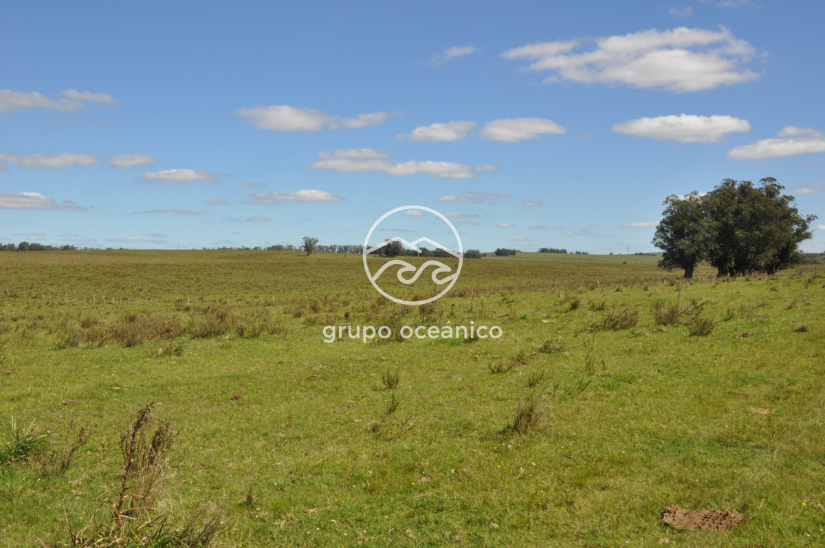 Campo Ref.53 - Campo Rocha Ruta 9 Km 196