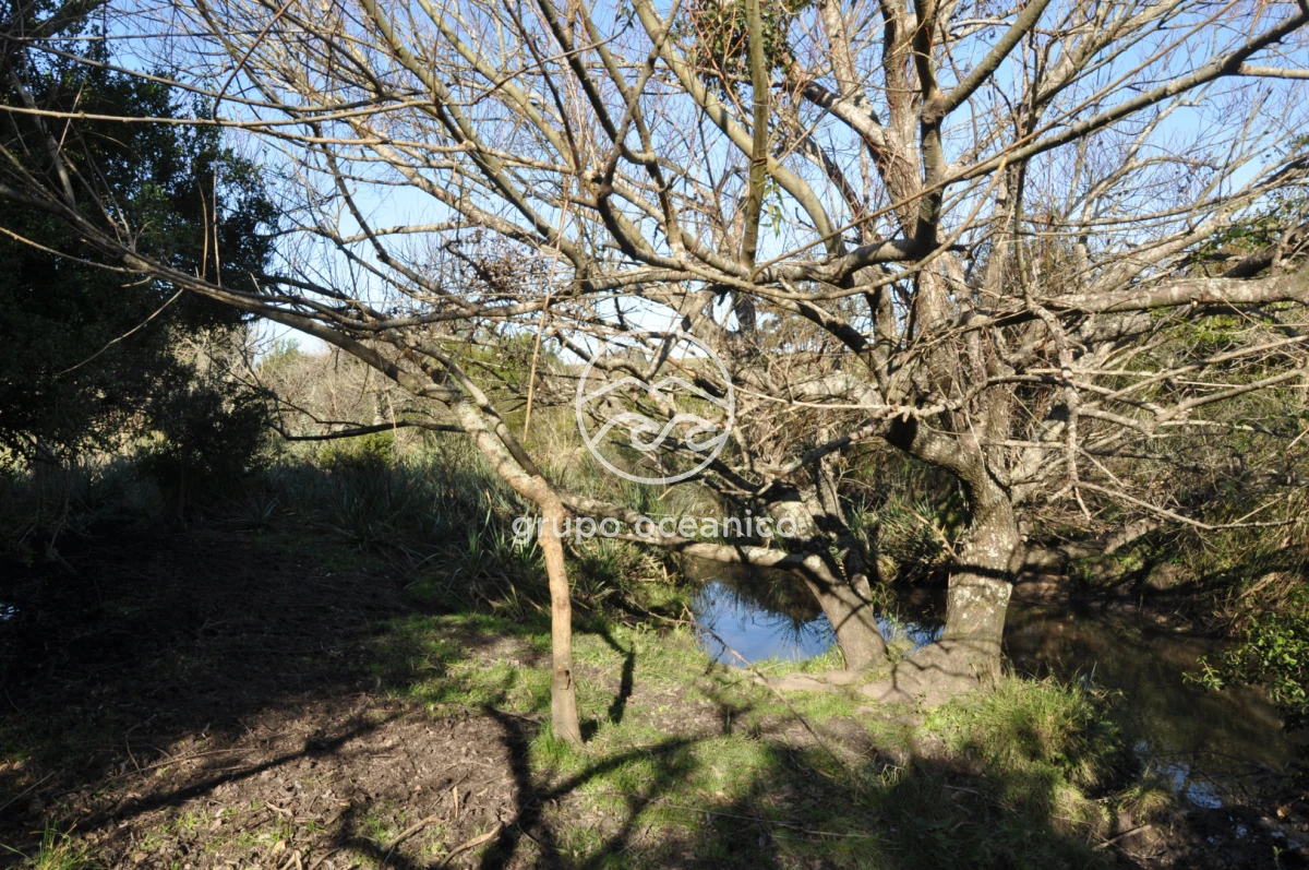Campo Ref.2 - Campo de 50 hectáreas en Rincón de José Ignacio