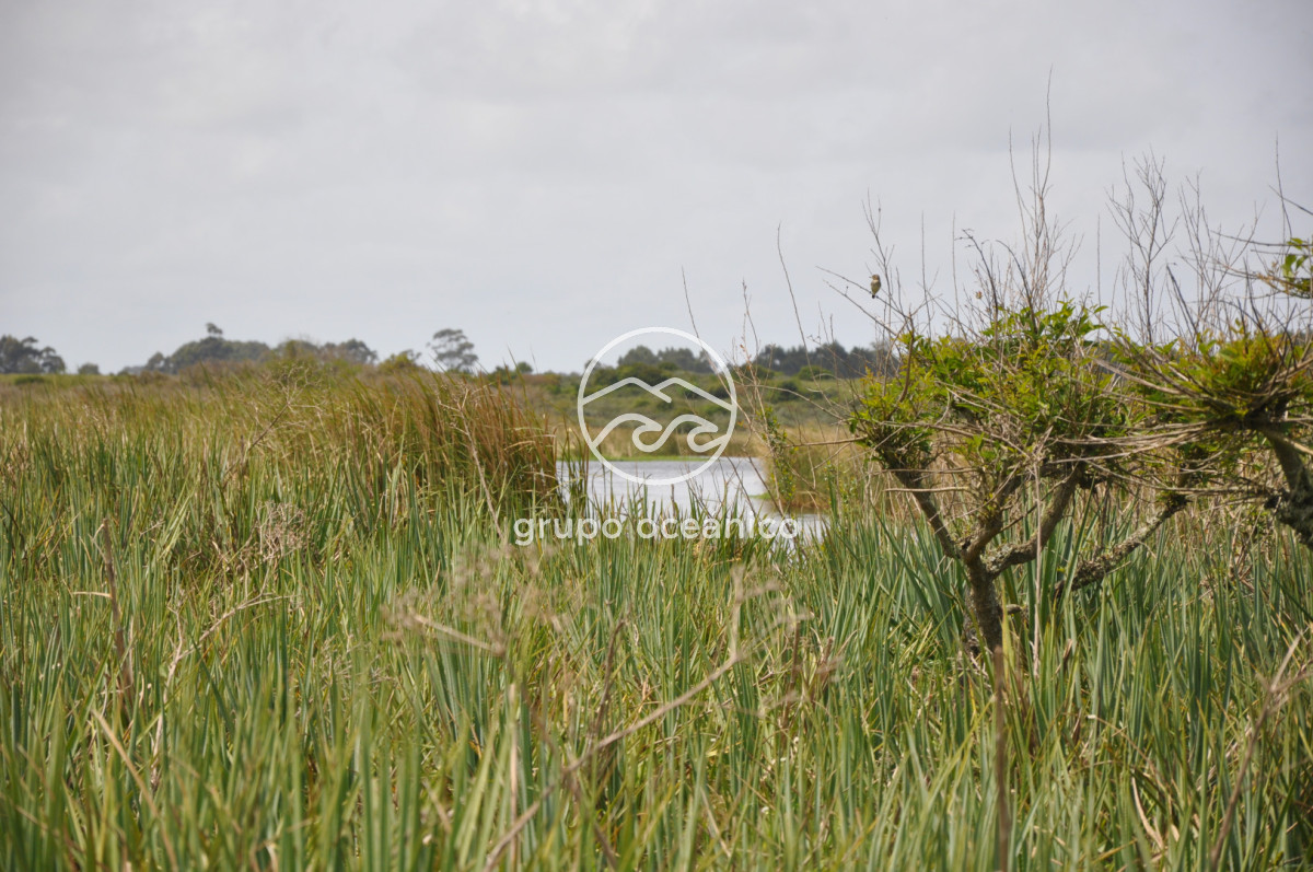 Campo Ref.89 - Campo 280 há sobre Laguna Garzón Área Protegida