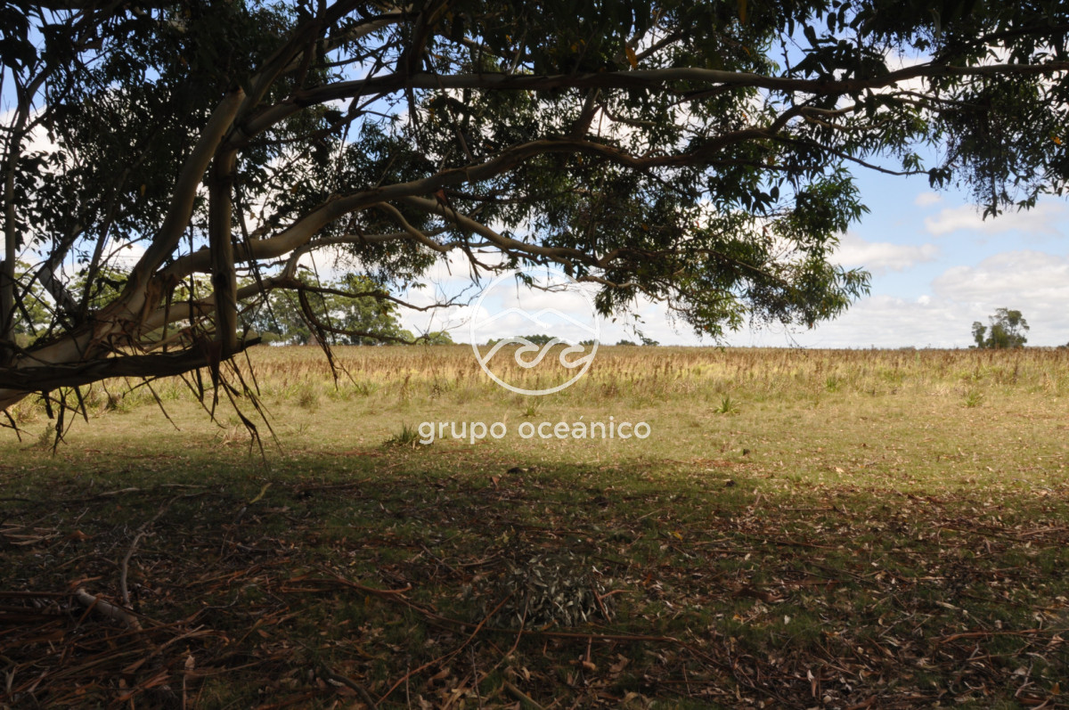 Campo Ref.36 - Campo en Camino las Garzas y Ruta 9  360 Ha ideal para fraccionamiento de chacras