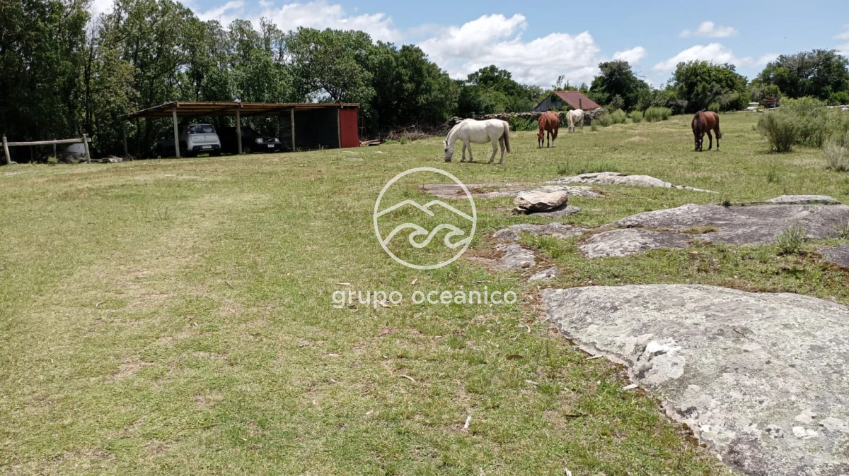 Campo Ref.8 - Campo 77 hectáreas en Ruta 39