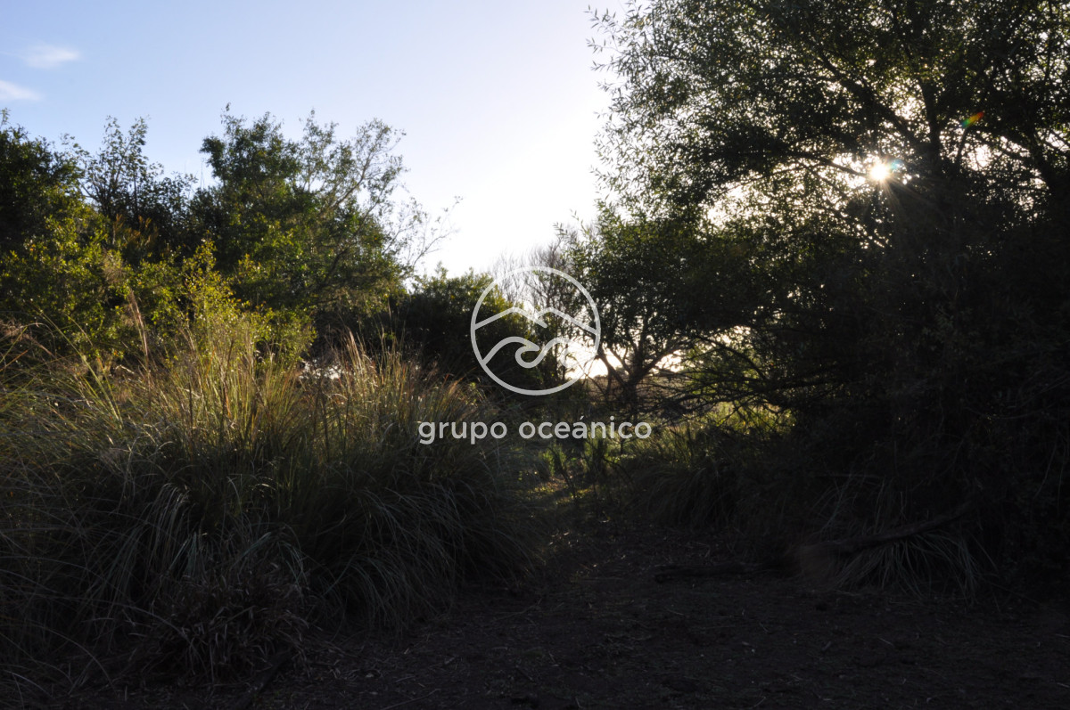 Campo Ref.49 - Campo 9,5 Há en paso de Tigre y Ruta 9