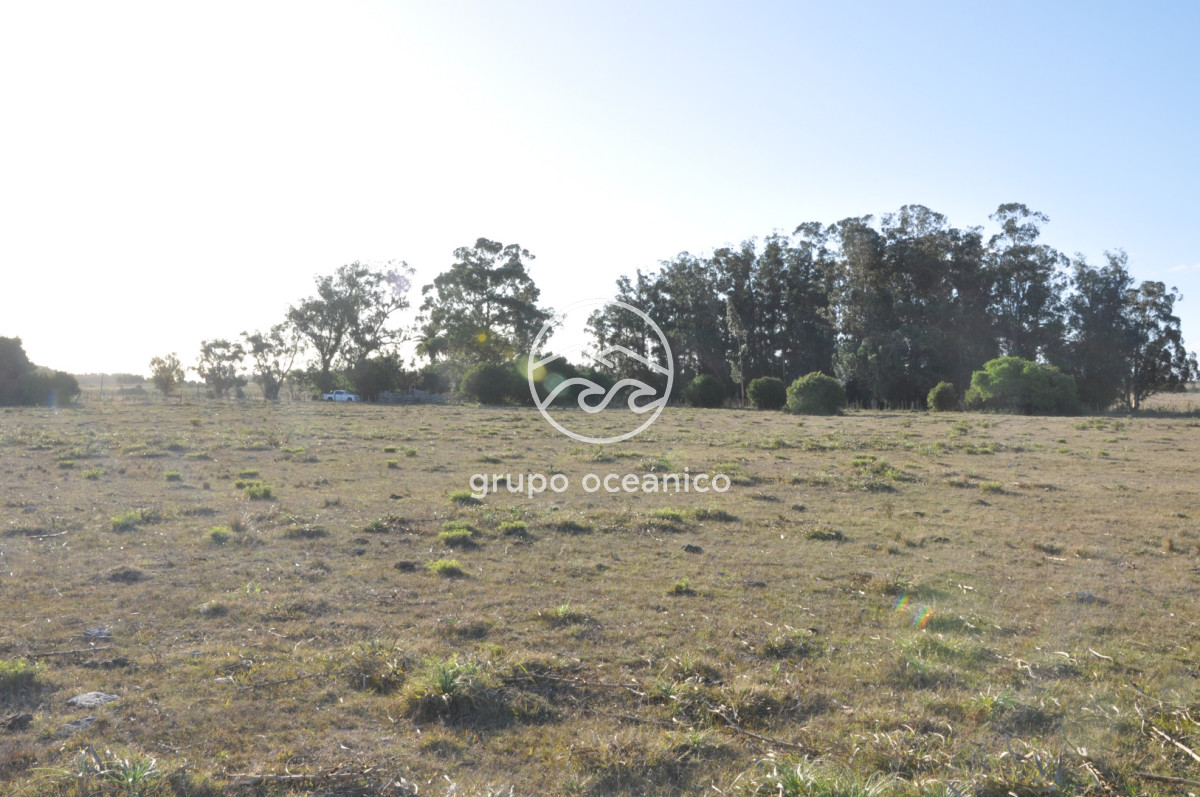 Campo Ref.49 - Campo 9,5 Há en paso de Tigre y Ruta 9