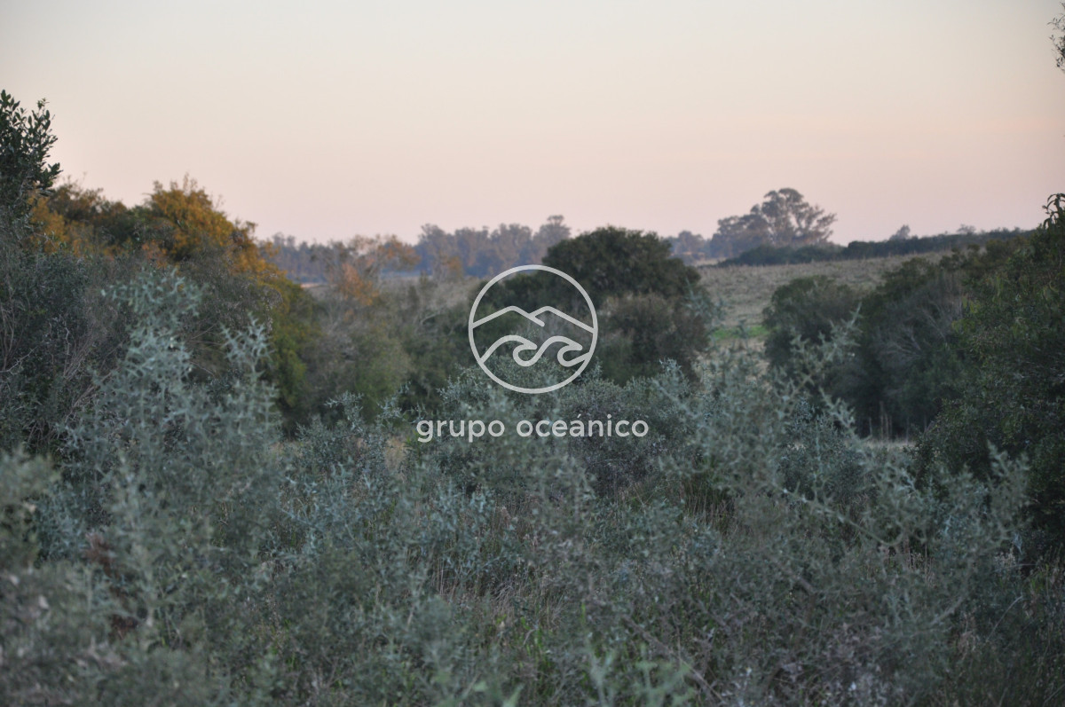 Campo Ref.4 - P 20673 Ruta 9 José Ignacio