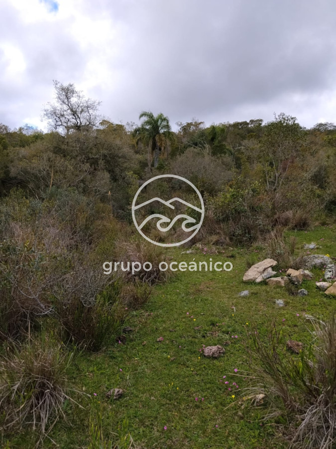 Campo Ref.92 - Campo 4 +3 há Paso de la Cantera 