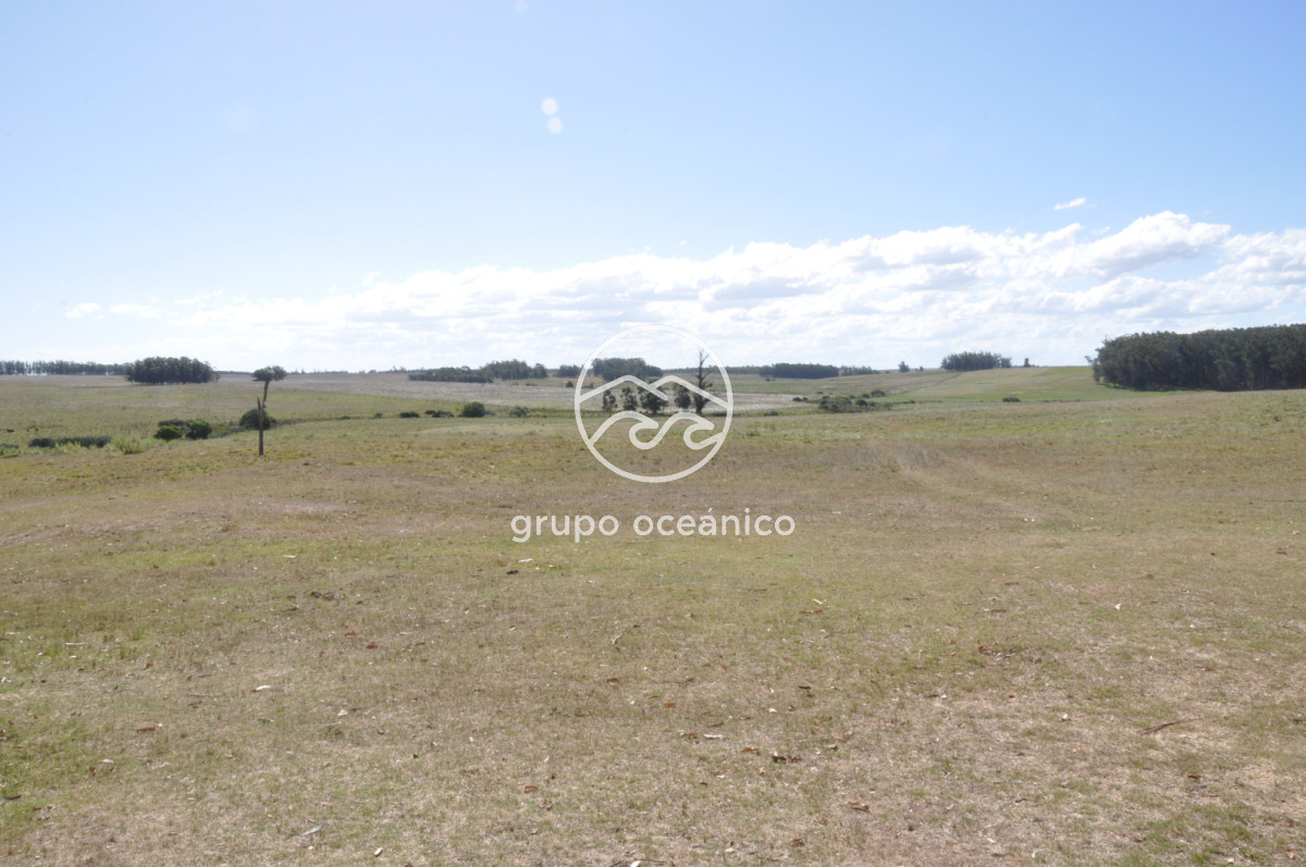 Campo Ref.44 - Campo con instalaciones y casas en Ruta 9 y camino Anastasio