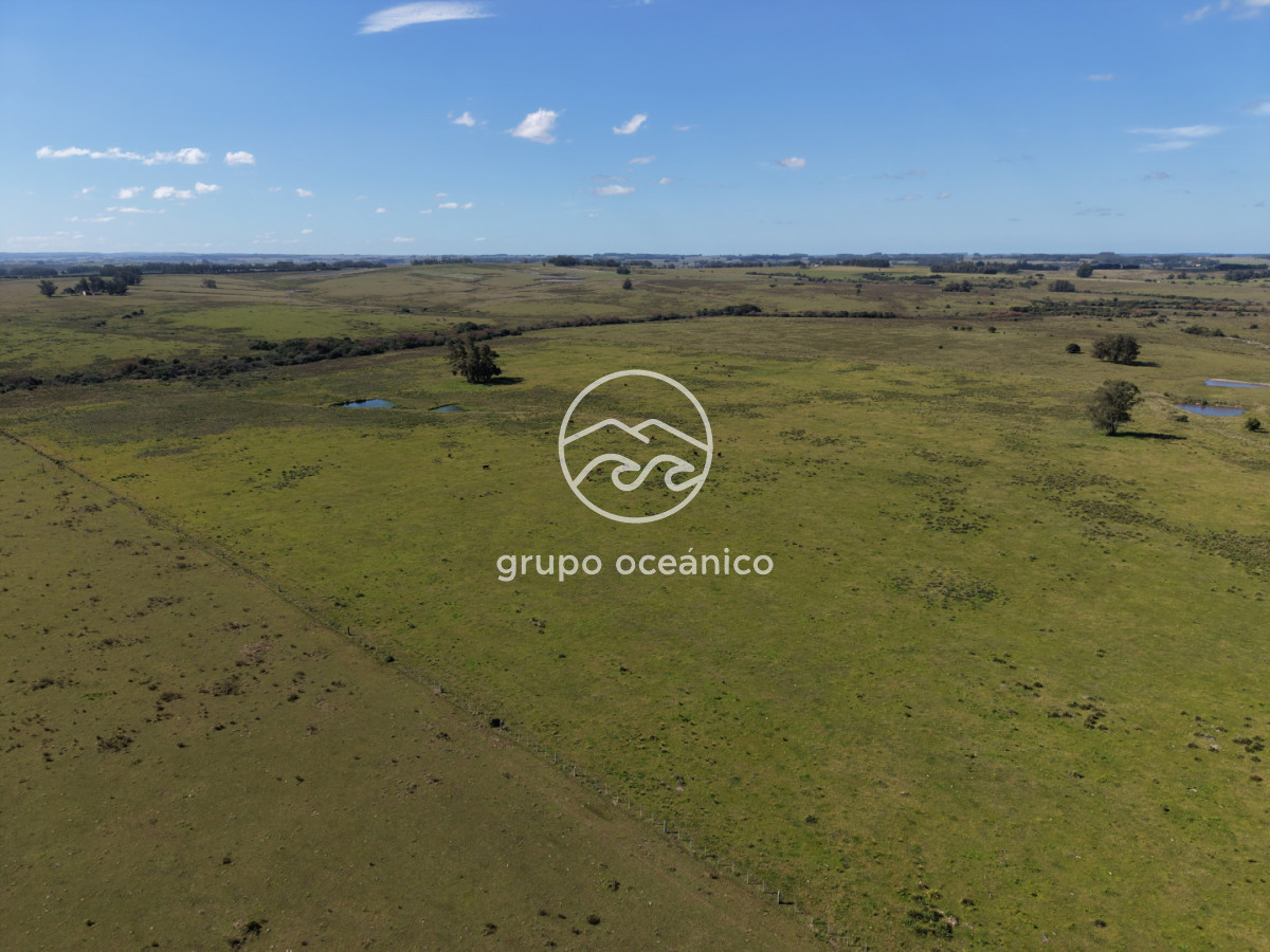 Campo Ref.2 - Campo de 50 hectáreas en Rincón de José Ignacio