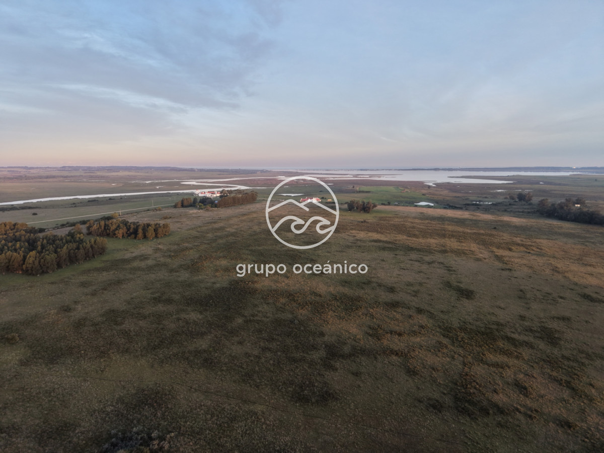 Campo Ref.88 - Campo 91 há sobre Laguna de José Ignacio