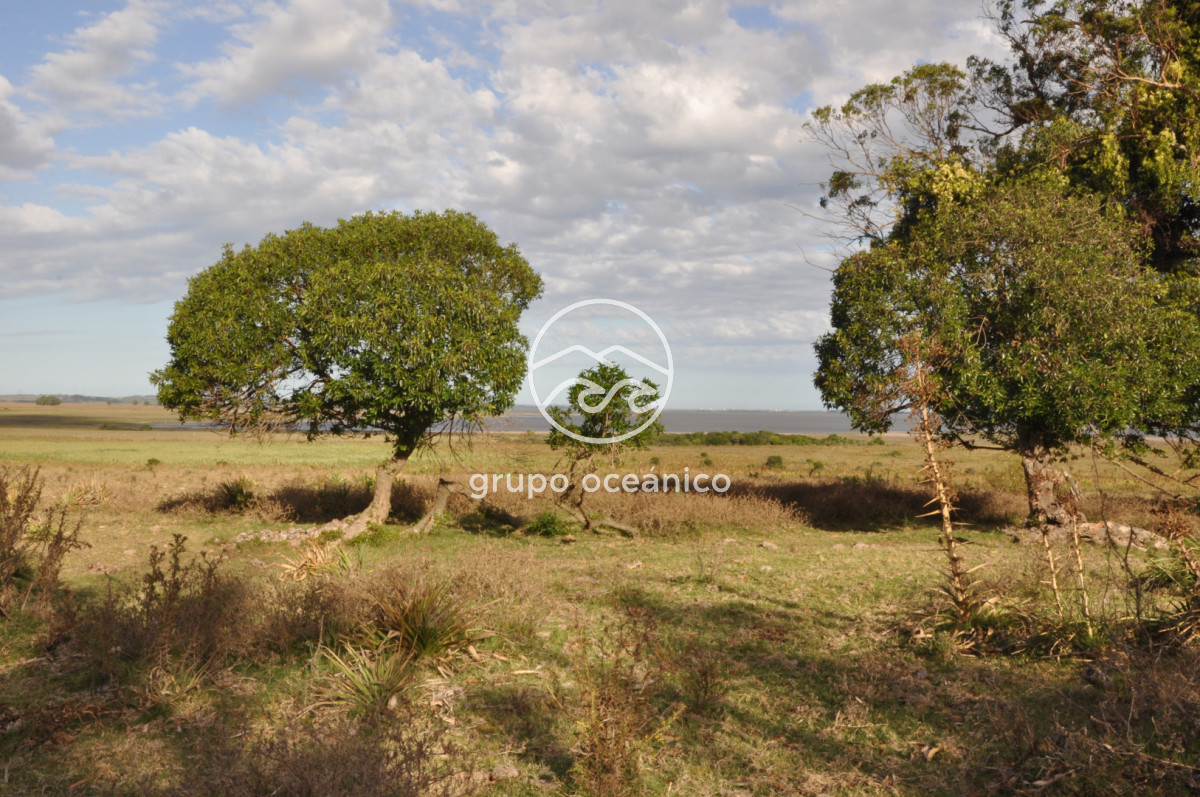 Campo Ref.41 - Campo a orillas de la Laguna de José Ignacio