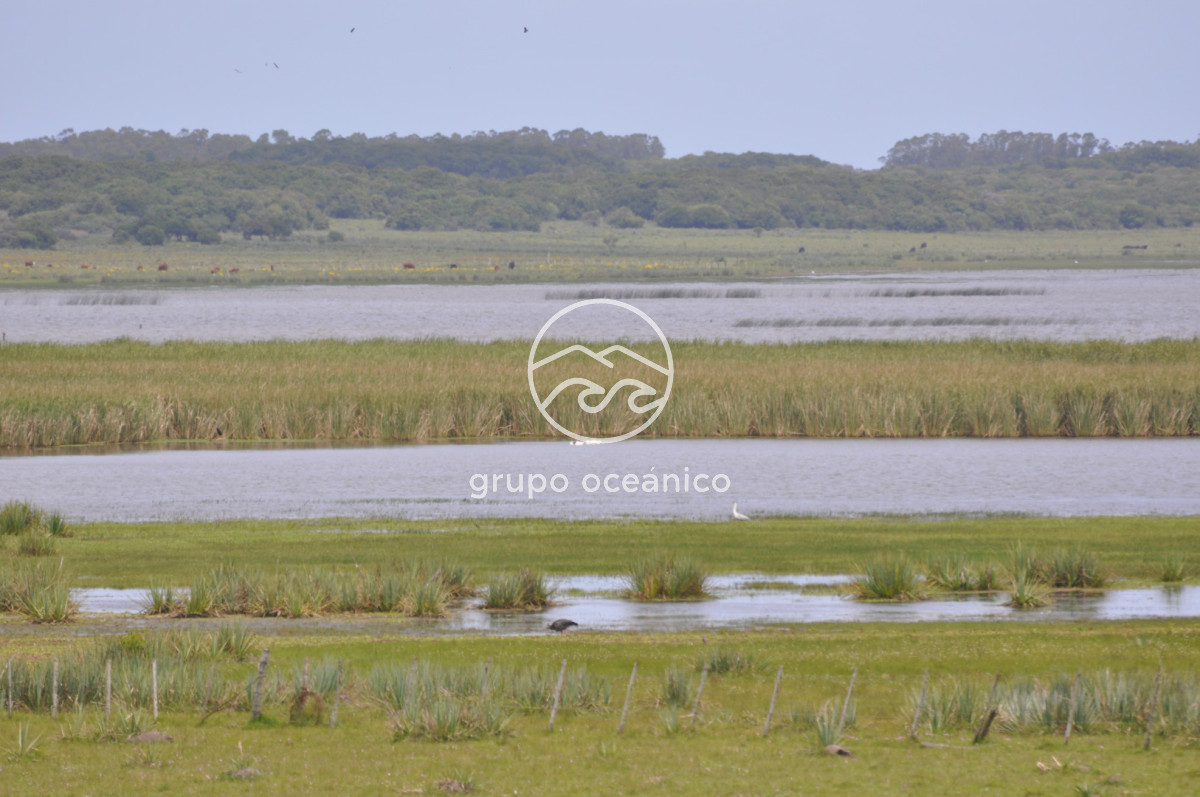 Campo Ref.89 - Campo 280 há sobre Laguna Garzón Área Protegida