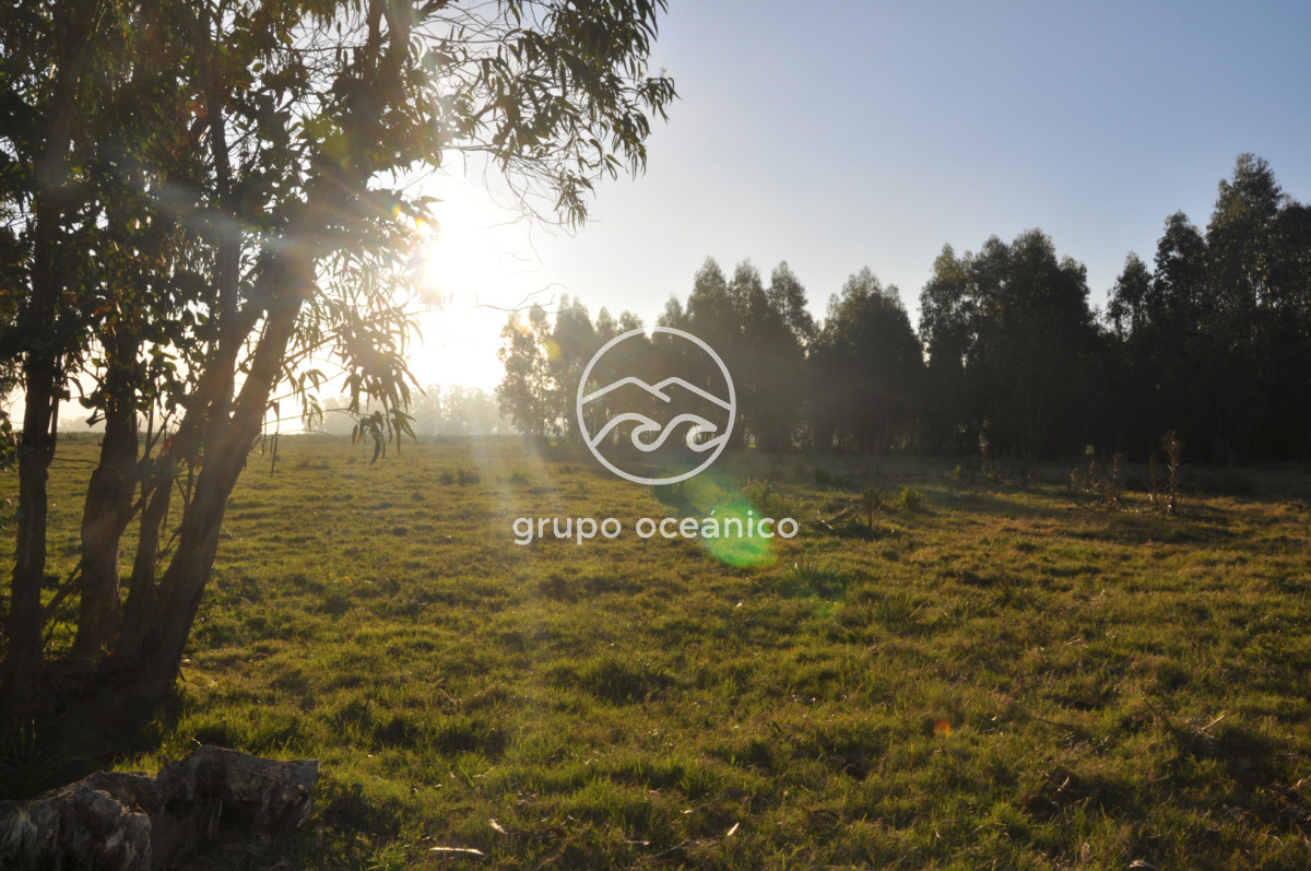 Campo Ref.88 - Campo 91 há sobre Laguna de José Ignacio