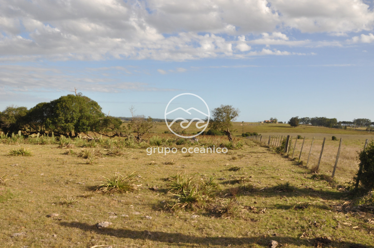 Campo Ref.41 - Campo a orillas de la Laguna de José Ignacio