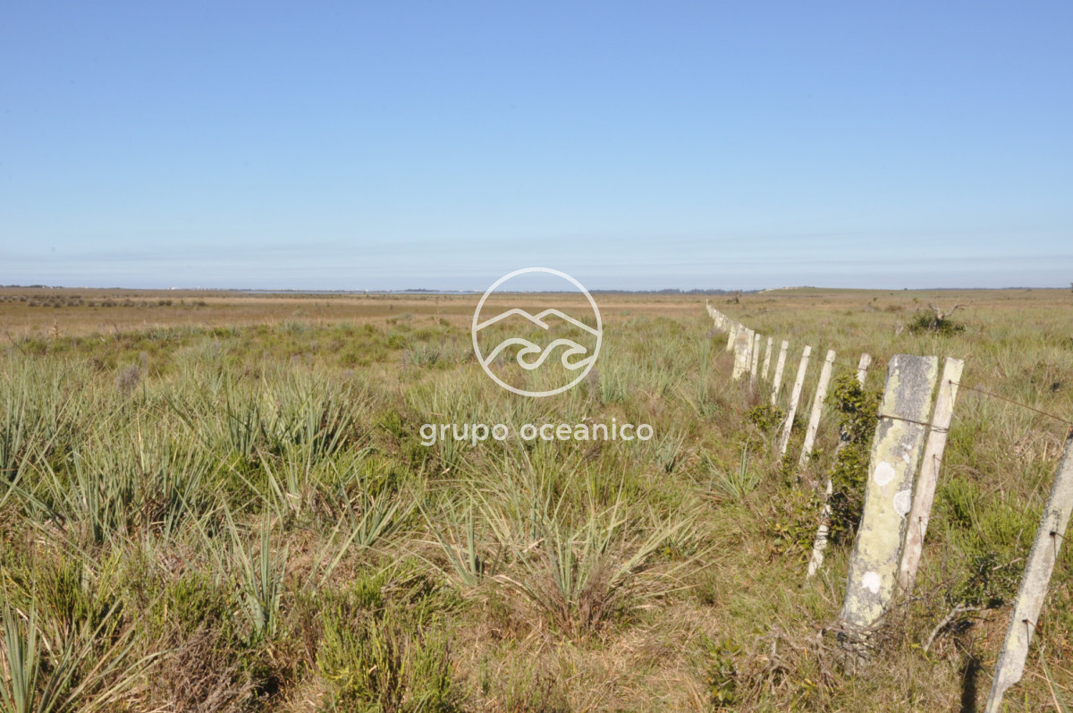 Campo Ref.88 - Campo 91 há sobre Laguna de José Ignacio